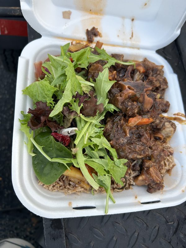 Stew beef over rice with fresh salad